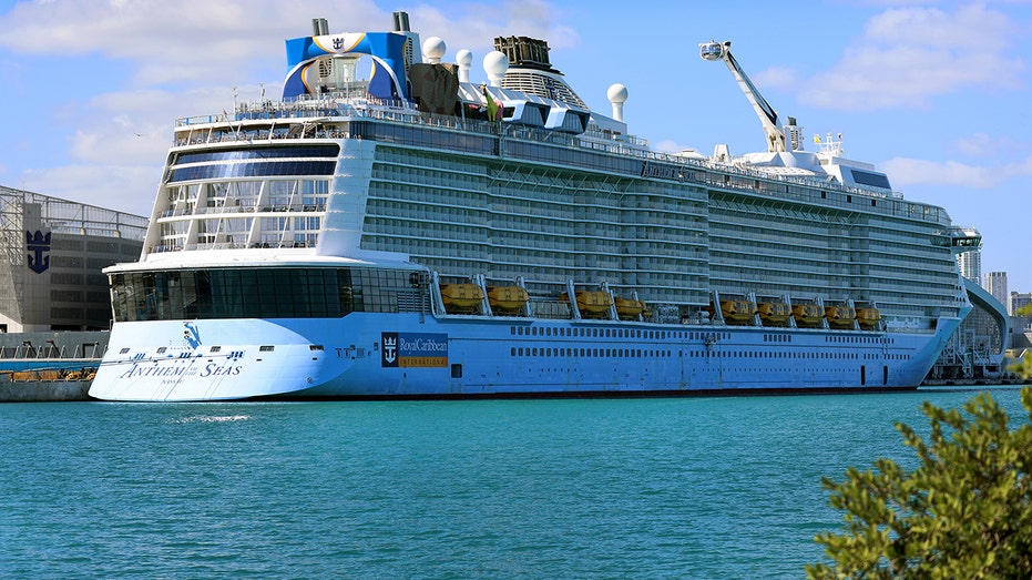 A Royal Caribbean cruise ship in the water