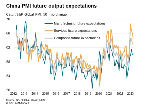 China PMI future output expectations