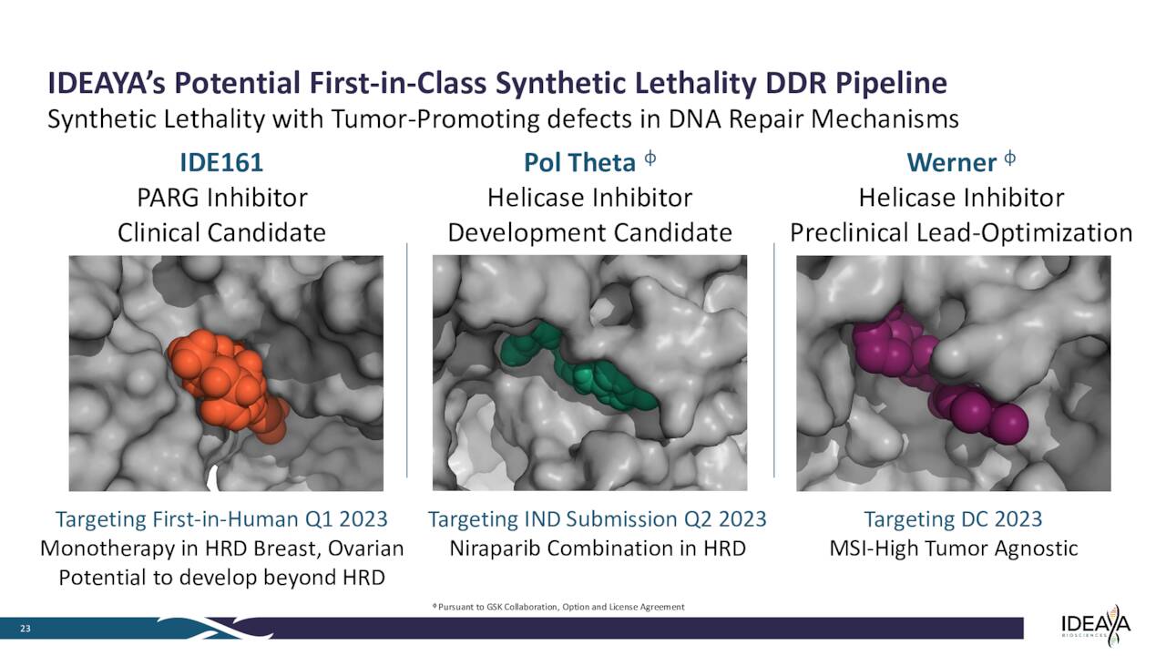 IDEAYA's Potential First-in-Class Synthetic Lethality DDR Pipeline