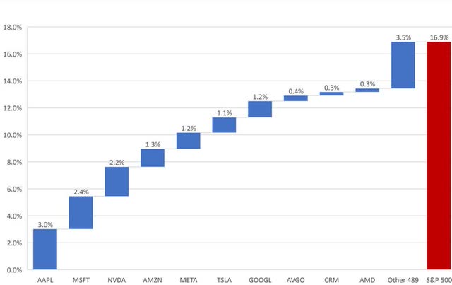 S&P 500 2023 YTD Return Contribution