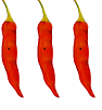 chili peppers