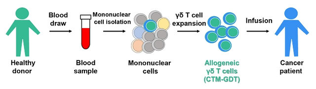 CTM-GDT Process