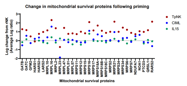 INKmune NK cells have superior mitochondrial survival