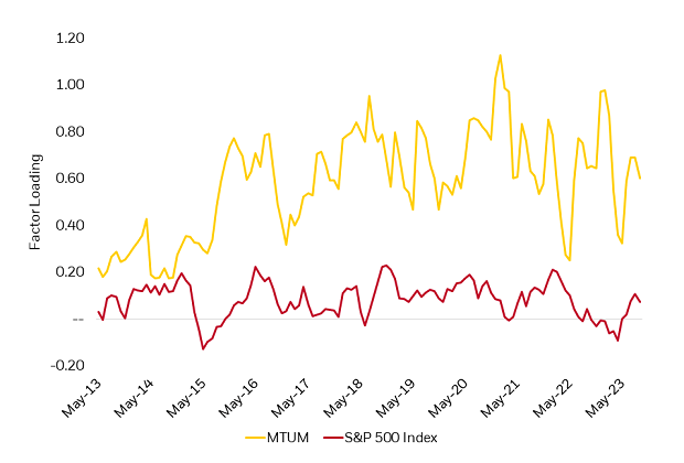 Momentum exposure over time