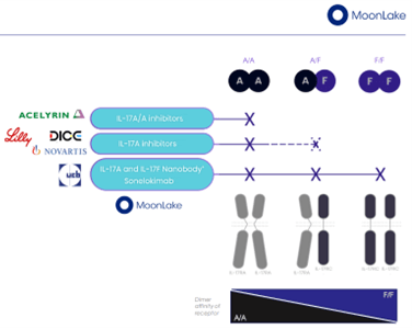 IL-17 inhibitors competing molecules