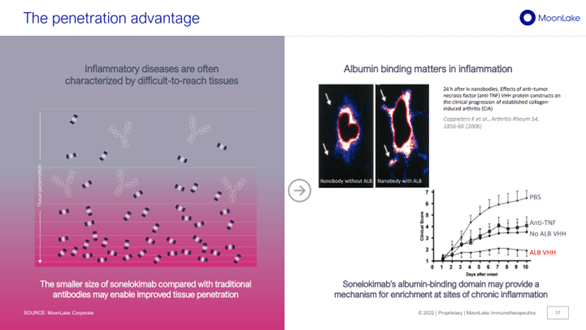 Albumin properties increase penetration in inflammatory site
