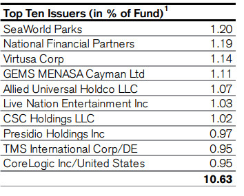 DHY Top Ten Holdings