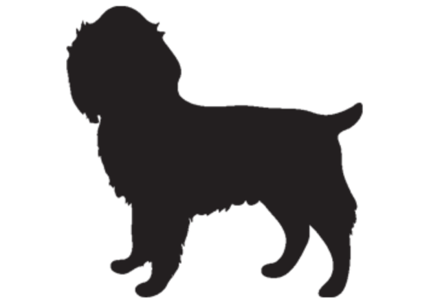 ARI (2) ARISDOG DEC/23 Open source dog art (3) from dividenddogcatcher.com