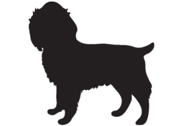 KING (2) KDOG JAN/24 Open source dog art (3) from dividenddogcatcher.com