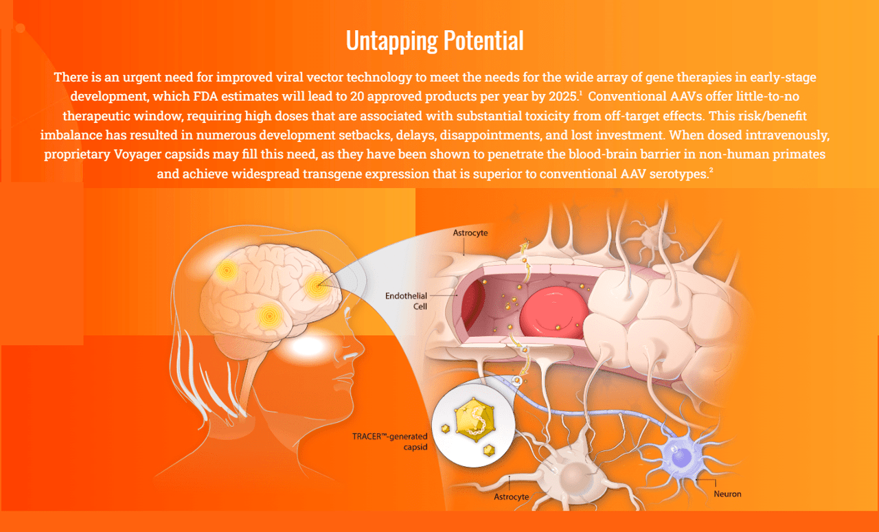 Source: Voyager Therapeutics website.
