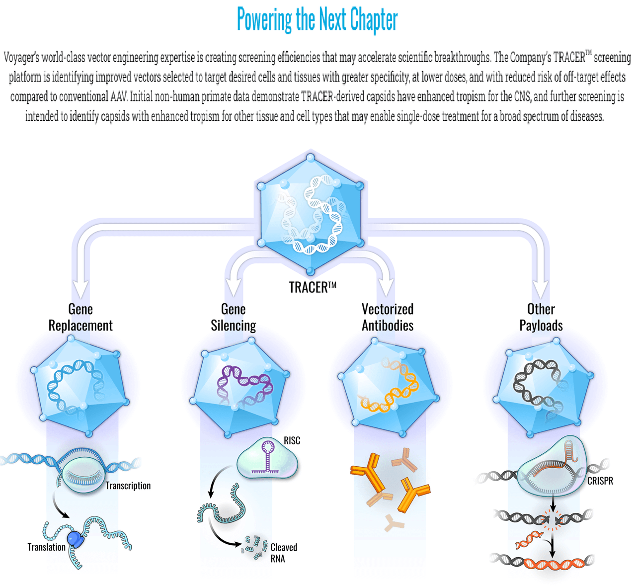 Source: Voyager Therapeutics website.