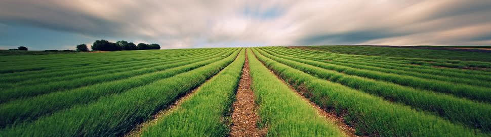 Farmland Partners property