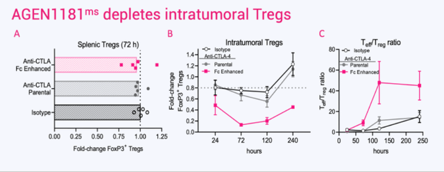 t reg depletion in mice