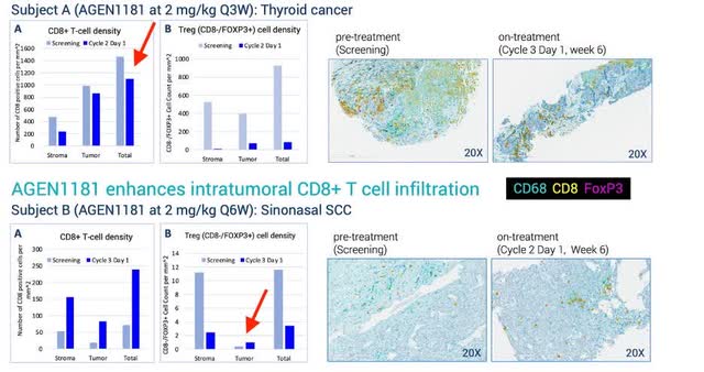 cd8 cd4 T cells dynamics bot treatment