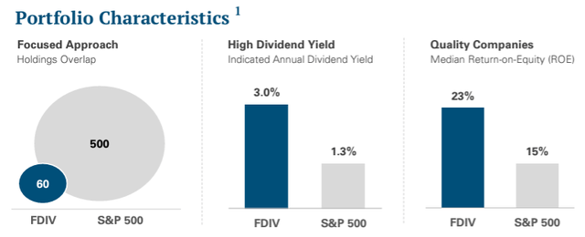 FDIV Portfolio Characteristics