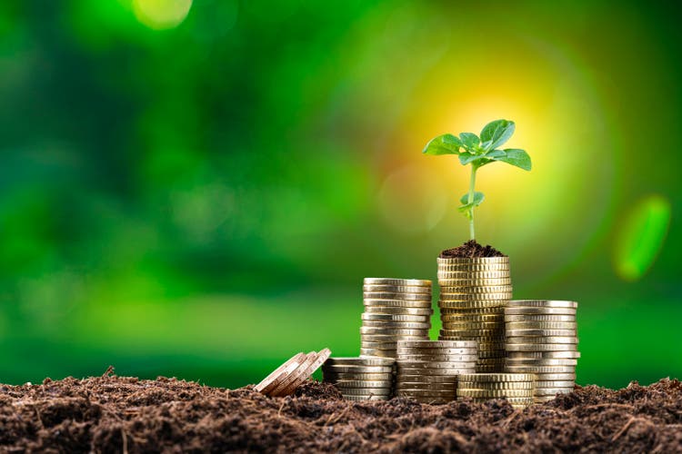 Small plant growing on coin stack. Financial growth concept